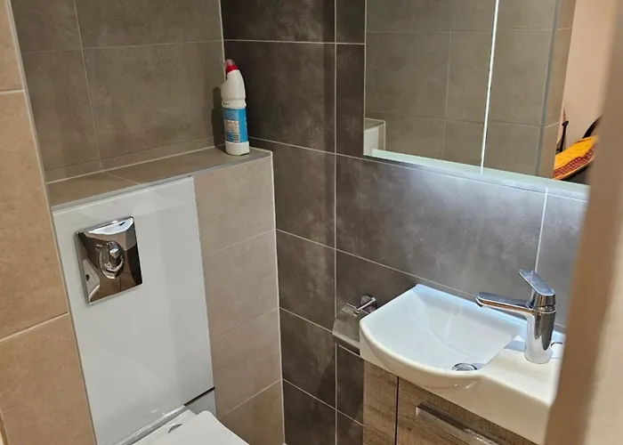 B&B Belle Privative A Vallorbe, Max 2 Voyageurs 발로르베